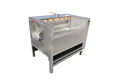 1000kg/h de Wasmachine van de de Transportband Schoonmakende Borstel van de voedselfabriek