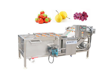 500kg/H de Luchtbelwasmachine SUS 304 van de tomatenkool Roestvrij staal Plantaardige Wasmachine