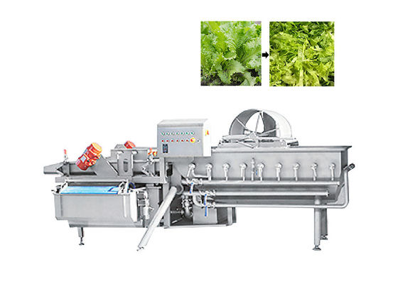 Industriële Automatische de Groentewasmachine 1000KG/H van het Draaikolkfruit