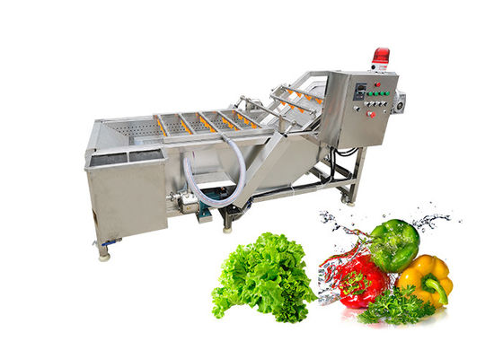 De plantaardige Wasmachine van de Fruitsus304 500kg/h Luchtbel