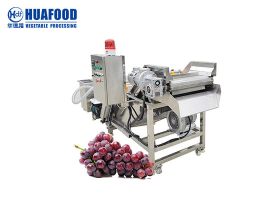 500kg/hr plantaardige de Verwerkingsmachine van de Wasmachinedruif in Rozijnen