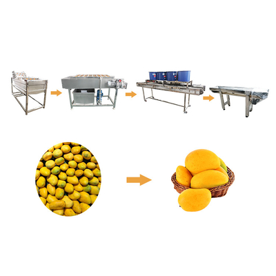 Grote Hoofdfruit van de mango het Plantaardige Wasmachine en het Plantaardige Schoonmaken Lijn