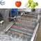 Automatisch de Machinesfruit van de Voedselverwerking en Plantaardig Wasmateriaal