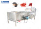 Borsteltype Industriële Plantaardige Wasmachine, Wortel/Apple-Wasmachine500-2000kg/h Output
