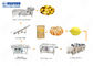 500kg/H AutomaticFruit en het Fruit van de Plantaardige Verwerkingslijn en het Plantaardige Schoonmaken Machine