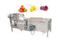 SUS304 de Groente van de bellenwasmachine en de Schoonmakende Machine van het Fruit500kg/h Voedsel