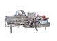De Wasmachine van de de Draaikolk Bladgroente van SUS304 1000KG/H