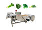 Vruchten 380V Plantaardige Wasmachine met Transportband