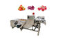 De plantaardige Wasmachine van de Fruitsus304 500kg/h Luchtbel