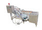 De Pruim0.5ton/h Plantaardige Wasmachine van het water Kringloopfruit