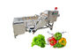 SUS 304 Luchtbel 500kg/h Ginger Washing Machine