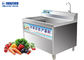 150KG/H spinazie Plantaardige Wasmachine voor Wortelstokken en Ingelegde Vruchten