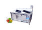 SS304 materiële Automatische Plantaardige Fruitwasmachine