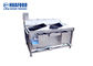 300KG kleine Ultrasone Wasmachine voor Pompoenraap
