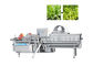 1000kg/H groene de Slasnijmachine van de Bladsnijder voor Fruitsaladegroente