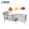 De automatische Ultrasone Wasmachine van de Fruitgroente en het Bleken Machine