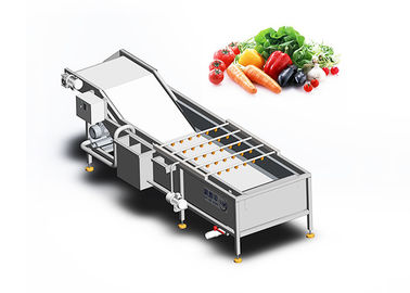 ISO 9001 Plantaardige Wasmachine