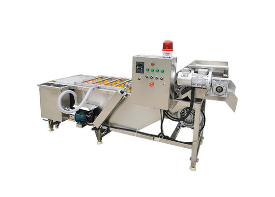 Het Fruitwasmachine van het Luchtbelss304 3.75KW Ozon