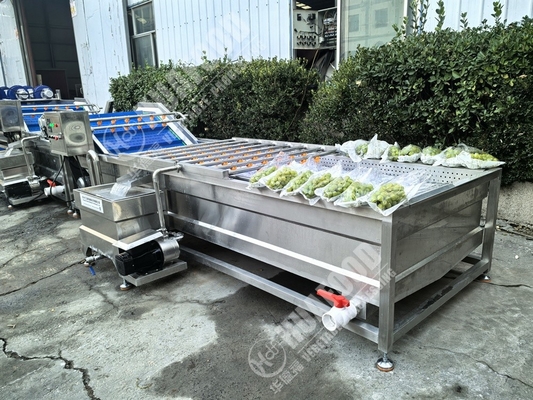Fruit- en groentenwasmachine met veren en 220V spanning