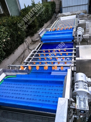 Fruit- en groentenwasmachine met veren en 220V spanning