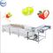 Plantaardige Wasmachinemachine met het Fruitwasmachine van het Water Doorgevende Systeem