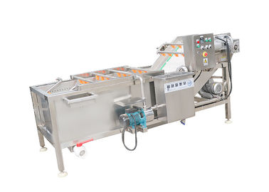 ISO 9001 Plantaardige Wasmachine