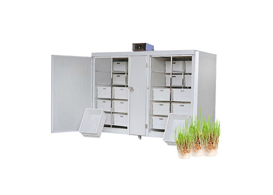 250kg/Day de automatische Machines Mung Bean Sprout Machine van de Voedselverwerking