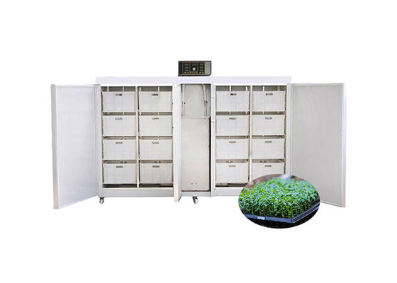 250kg/d de Machine Automatisch Bean Seed Sprout Machine van de handelszaadgerminatie