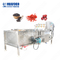 De automatische Ultrasone Wasmachine van de Fruitgroente en het Bleken Machine