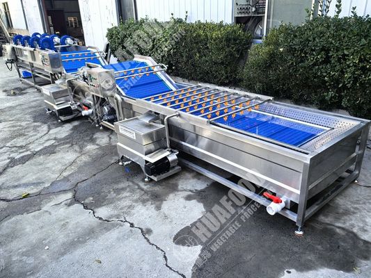 Fruit- en groentenwasmachine met veren en 220V spanning